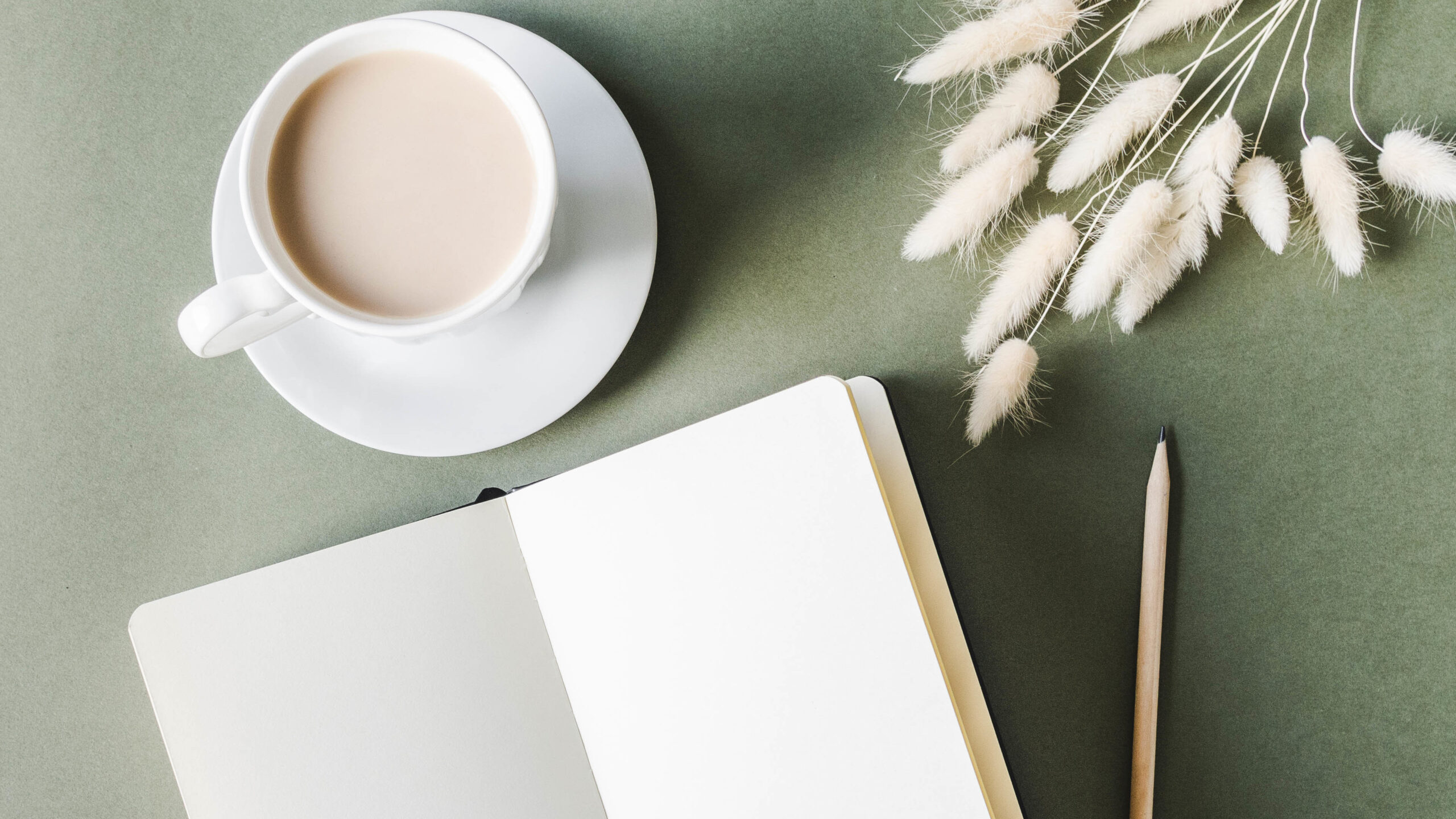 Weekly Wellness Series | Feel Great Solutions