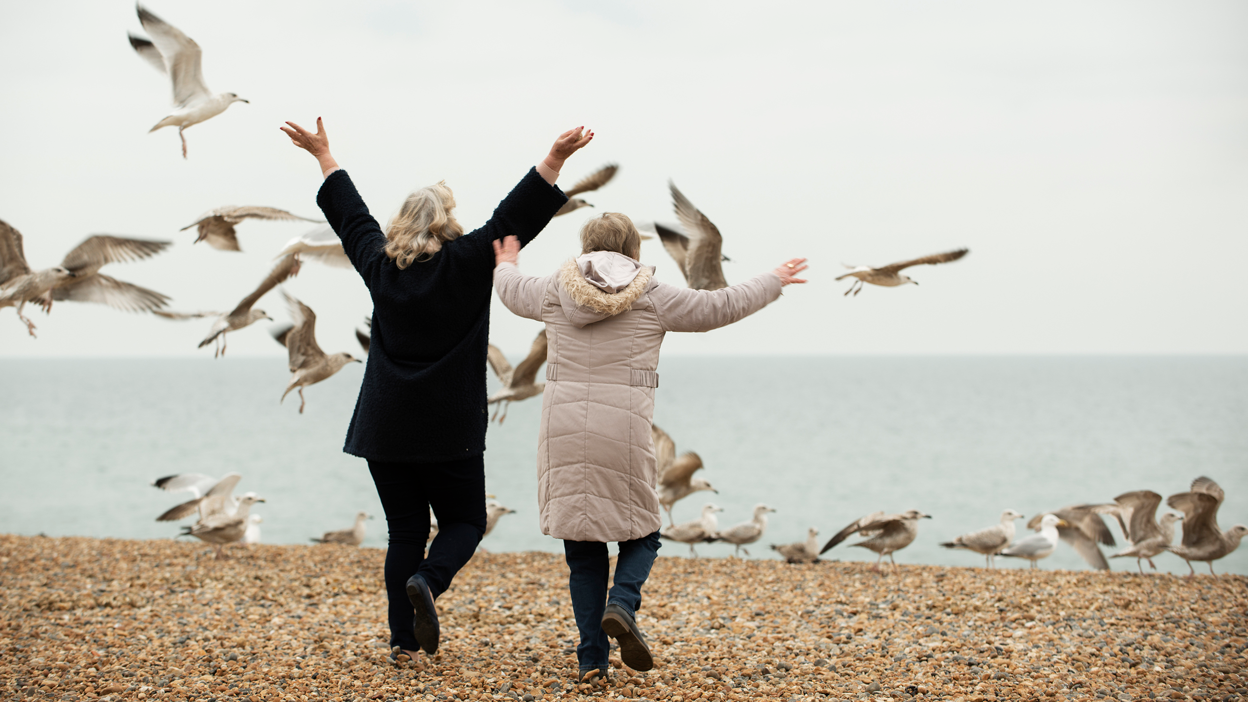 Wellness in the World: Starting Over with Intention